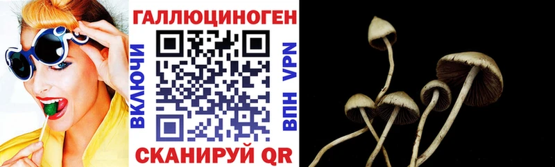 мега сайт Славск Галлюциногенные грибы Magic Shrooms